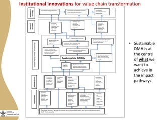 Maziwa Zaidi: From impact pathways to theory of change