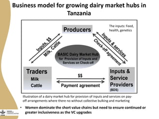 Maziwa Zaidi: From impact pathways to theory of change