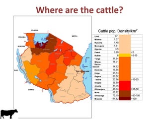 Update on dairy value chain development in Tanzania
