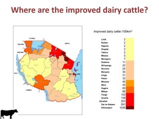 Update on dairy value chain development in Tanzania