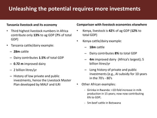 Unleashing Tanzania’s livestock potential