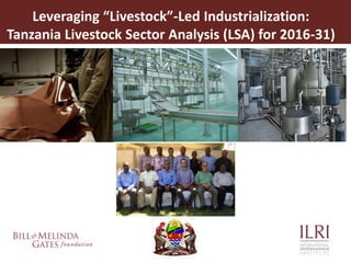 Unleashing Tanzania’s livestock potential