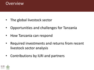 Unleashing Tanzania’s livestock potential