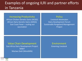 Unleashing Tanzania’s livestock potential