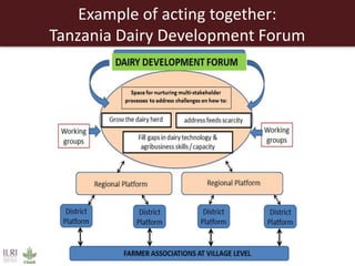 Unleashing Tanzania’s livestock potential