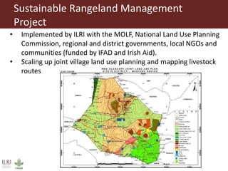 Unleashing Tanzania’s livestock potential