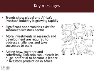 Unleashing Tanzania’s livestock potential