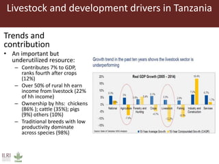 Unleashing Tanzania’s livestock potential