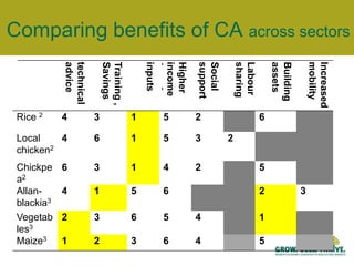 History & Context of Collective ActionTraditional collective action – safety nets, social support
