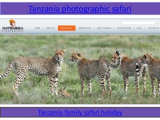 Tanzania photographic safari
Tanzania family safari holiday
 