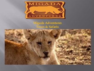 Migada Adventures
Tours & Safaris
 