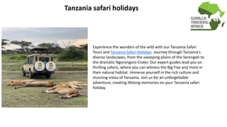 Tanzania safari holidays
Experience the wonders of the wild with our Tanzania Safari
Tours and Tanzania Safari Holidays. Journey through Tanzania's
diverse landscapes, from the sweeping plains of the Serengeti to
the dramatic Ngorongoro Crater. Our expert guides lead you on
thrilling safaris, where you can witness the Big Five and more in
their natural habitat. Immerse yourself in the rich culture and
stunning vistas of Tanzania. Join us for an unforgettable
adventure, creating lifelong memories on your Tanzania safari
holiday.
 