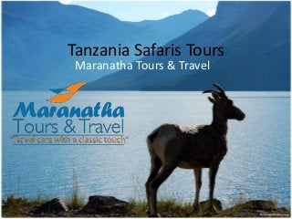 Tanzania Safaris Tours
Maranatha Tours & Travel

 