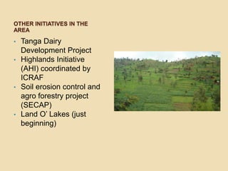 Tanzania dairy value chain development: Pre site selection scoping study