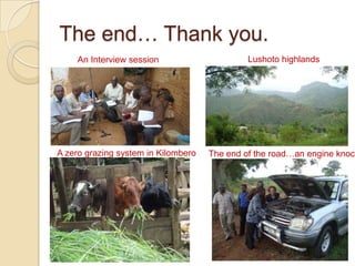 Tanzania dairy value chain development: Pre site selection scoping study