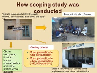 Tanzania dairy value chain development: Pre site selection scoping study