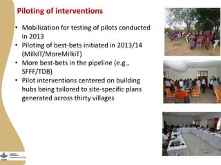 Update on “Maziwa Zaidi”—Tanzania dairy value chain development program 