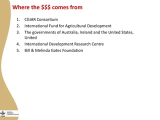 Update on “Maziwa Zaidi”—Tanzania dairy value chain development program 