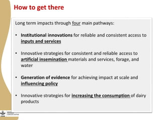 Update on “Maziwa Zaidi”—Tanzania dairy value chain development program 