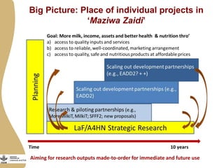 Update on “Maziwa Zaidi”—Tanzania dairy value chain development program 