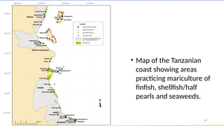 Tanzania & World shellfish production (mollusks and crustaceans).pptx