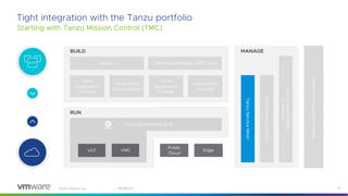 VMware Tanzu Service Mesh from the Developer’s Perspective | PDF