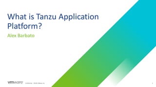 Tanzu Developer Connect | Public Sector | March 29, 2023.pdf