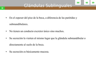 »

Glándulas Sublinguales





• En el espesor del piso de la boca, a diferencia de las parótidas y
submandibulares.
• No tienen un conducto excretor único sino muchos.
• Su secreción la vierten al mismo lugar que la glándula submandibular o
directamente al suelo de la boca.
• Su secreción es básicamente mucosa.



 