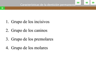 »

Características de la dentición permanente

1. Grupo de los incisivos
2. Grupo de los caninos
3. Grupo de los premolares
4. Grupo de los molares







 