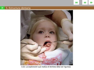 

»

5. Estructura dentaria

3.22. La exploración que realiza el dentista debe ser rigurosa.





 