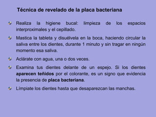 Realiza la higiene bucal: limpieza de los espacios
interproximales y el cepillado.
Mastica la tableta y disuélvela en la boca, haciendo circular la
saliva entre los dientes, durante 1 minuto y sin tragar en ningún
momento esa saliva.
Aclárate con agua, una o dos veces.
Examina tus dientes delante de un espejo. Si los dientes
aparecen teñidos por el colorante, es un signo que evidencia
la presencia de placa bacteriana.
Límpiate los dientes hasta que desaparezcan las manchas.
Técnica de revelado de la placa bacteriana
 
