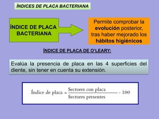 ÍNDICE DE PLACA
BACTERIANA
Permite comprobar la
evolución posterior,
tras haber mejorado los
hábitos higiénicos
Evalúa la presencia de placa en las 4 superficies del
diente, sin tener en cuenta su extensión.
ÍNDICE DE PLACA DE O’LEARY:
ÍNDICES DE PLACA BACTERIANA
 