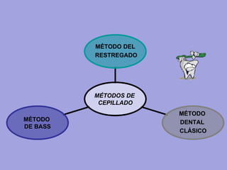 MÉTODO
DE BASS
MÉTODO
DENTAL
CLÁSICO
MÉTODO DEL
RESTREGADO
MÉTODOS DE
CEPILLADO
 