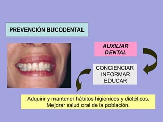 AUXILIAR
DENTAL
CONCIENCIAR
INFORMAR
EDUCAR
Adquirir y mantener hábitos higiénicos y dietéticos.
Mejorar salud oral de la población.
PREVENCIÓN BUCODENTAL
 