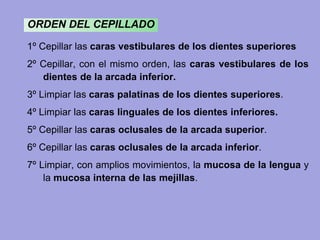 ORDEN DEL CEPILLADO
1º Cepillar las caras vestibulares de los dientes superiores
2º Cepillar, con el mismo orden, las caras vestibulares de los
dientes de la arcada inferior.
3º Limpiar las caras palatinas de los dientes superiores.
4º Limpiar las caras linguales de los dientes inferiores.
5º Cepillar las caras oclusales de la arcada superior.
6º Cepillar las caras oclusales de la arcada inferior.
7º Limpiar, con amplios movimientos, la mucosa de la lengua y
la mucosa interna de las mejillas.
 