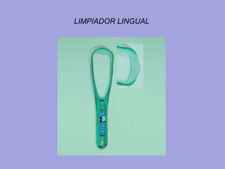 LIMPIADOR LINGUAL
 