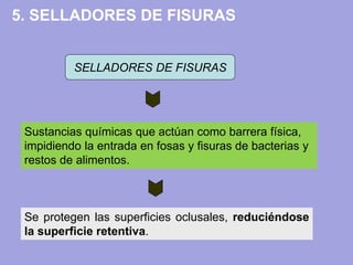 5. SELLADORES DE FISURAS
Sustancias químicas que actúan como barrera física,
impidiendo la entrada en fosas y fisuras de bacterias y
restos de alimentos.
SELLADORES DE FISURAS
Se protegen las superficies oclusales, reduciéndose
la superficie retentiva.
 