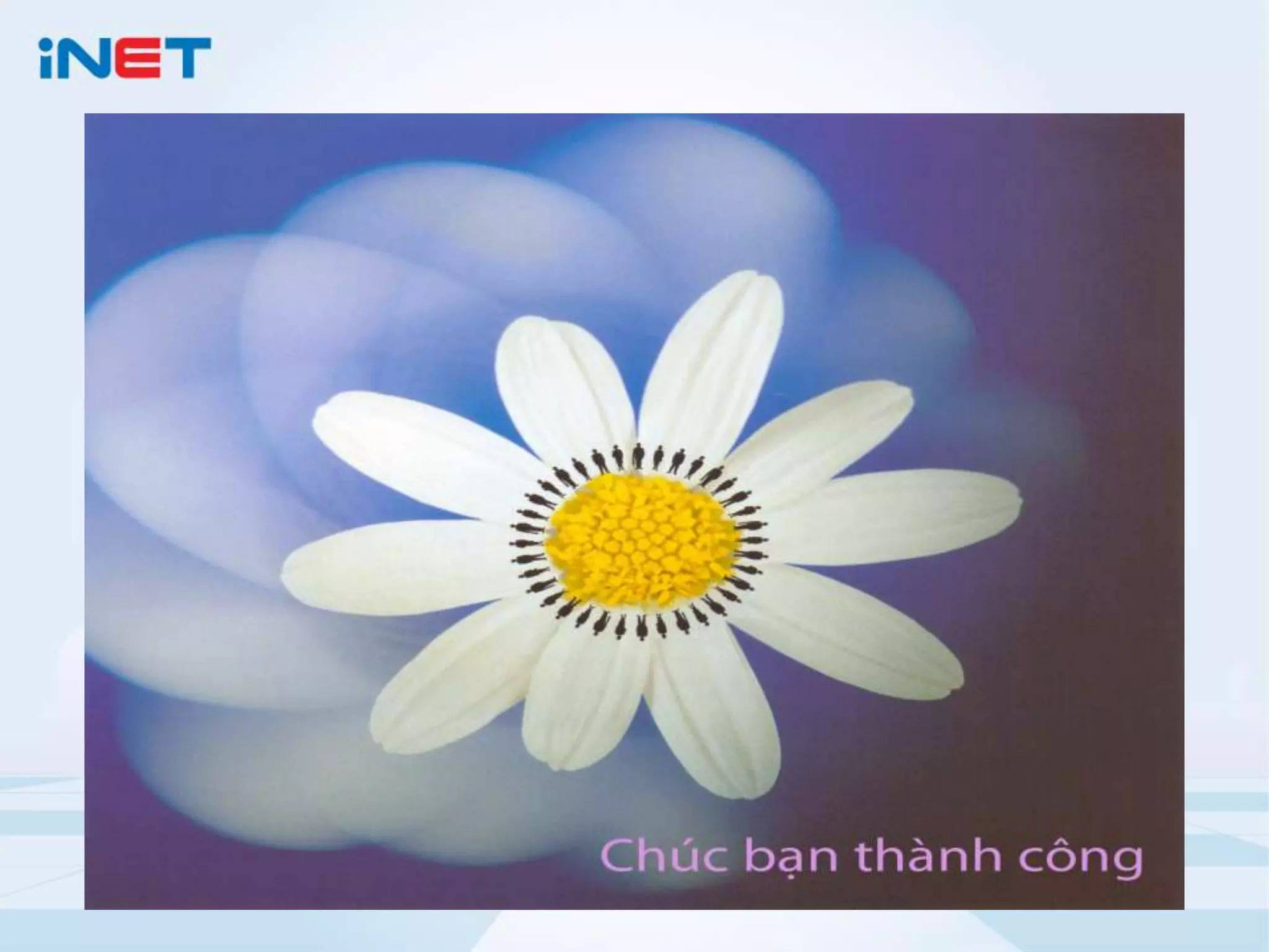 Huong dan tao website bang wordpress