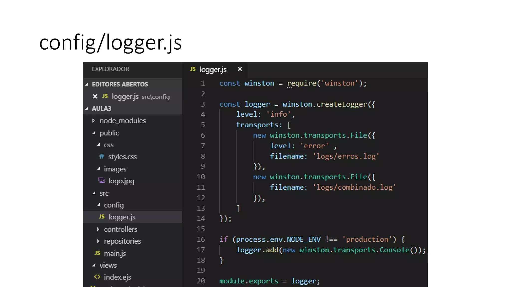 config/logger.js 