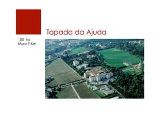 Tapada da Ajuda
100 ha
Muro ? Km
 