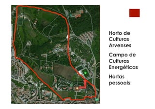 Horto de
Culturas
Arvenses
Campo de
Culturas
Energéticas
Hortas
pessoais
 
