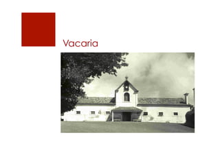 Vacaria
 