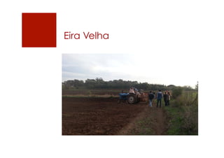 Eira Velha
 