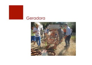 Geradora
 