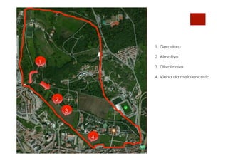 1. Geradora
2. Almotivo
3. Olival novo
4. Vinha da meia-encosta
1
2
3
4
 