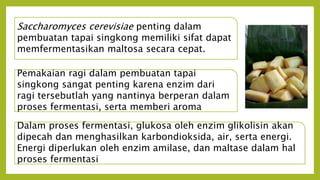 Saccharomyces cerevisiae penting dalam
pembuatan tapai singkong memiliki sifat dapat
memfermentasikan maltosa secara cepat.
Pemakaian ragi dalam pembuatan tapai
singkong sangat penting karena enzim dari
ragi tersebutlah yang nantinya berperan dalam
proses fermentasi, serta memberi aroma
Dalam proses fermentasi, glukosa oleh enzim glikolisin akan
dipecah dan menghasilkan karbondioksida, air, serta energi.
Energi diperlukan oleh enzim amilase, dan maltase dalam hal
proses fermentasi
 