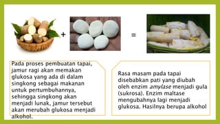 + =
Rasa masam pada tapai
disebabkan pati yang diubah
oleh enzim amylase menjadi gula
(sukrosa). Enzim maltase
mengubahnya lagi menjadi
glukosa. Hasilnya berupa alkohol
Pada proses pembuatan tapai,
jamur ragi akan memakan
glukosa yang ada di dalam
singkong sebagai makanan
untuk pertumbuhannya,
sehingga singkong akan
menjadi lunak, jamur tersebut
akan merubah glukosa menjadi
alkohol.
 