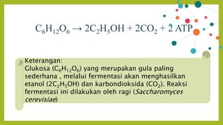 C6H12O6 → 2C2H5OH + 2CO2 + 2 ATP
Keterangan:
Glukosa (C6H12O6) yang merupakan gula paling
sederhana , melalui fermentasi akan menghasilkan
etanol (2C2H5OH) dan karbondioksida (CO2). Reaksi
fermentasi ini dilakukan oleh ragi (Saccharomyces
cerevisiae)
 