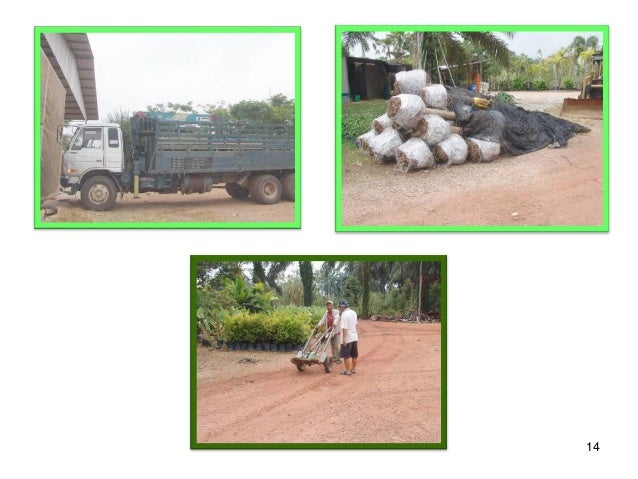 Tapak semaian 120 minutes