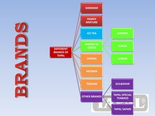 DIFFERENT 
BRANDS OF 
TAPAL 
DANEDAR 
FAMILY 
MIXTURE 
ICE TEA 
SHADES OF 
GREEN 
JASMINE 
ELACHI 
CHENAL LEMON 
MEZBAN 
TEZDUM 
OTHER BRANDS 
GULBAHAR 
TAPAL SPECIAL 
TEABAGS 
TAPAL SAFARI 
 